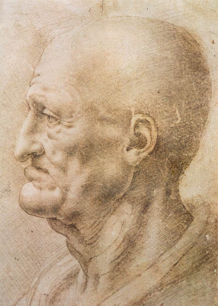 Egy idős ember profilja alkotó: Leonardo da Vinci