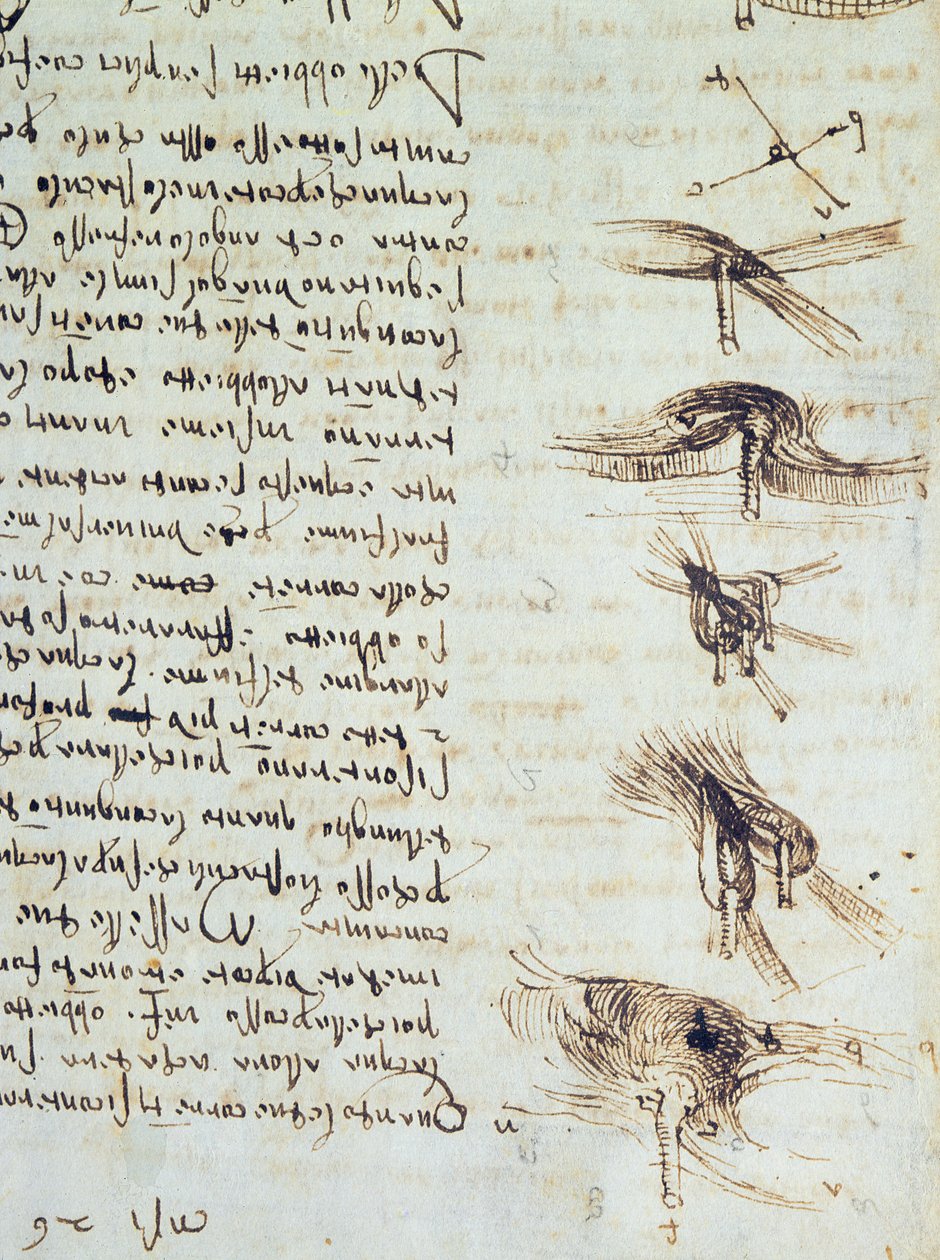 Tudományos diagramok, a Leicester-kódexből, 1508-12, szepia tinta, vászonpapír, 227790 részlete alkotó: Leonardo da Vinci