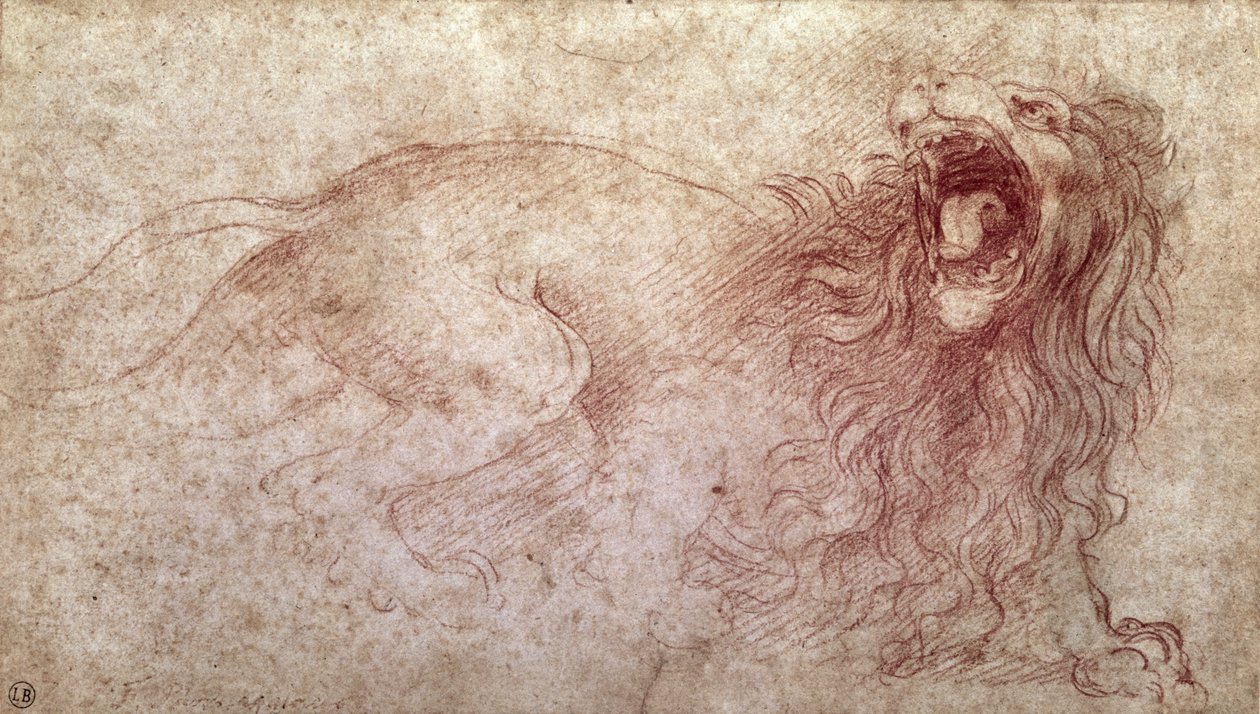 Vázlat egy ordító oroszlánról (piros kréta papíron) alkotó: Leonardo da Vinci