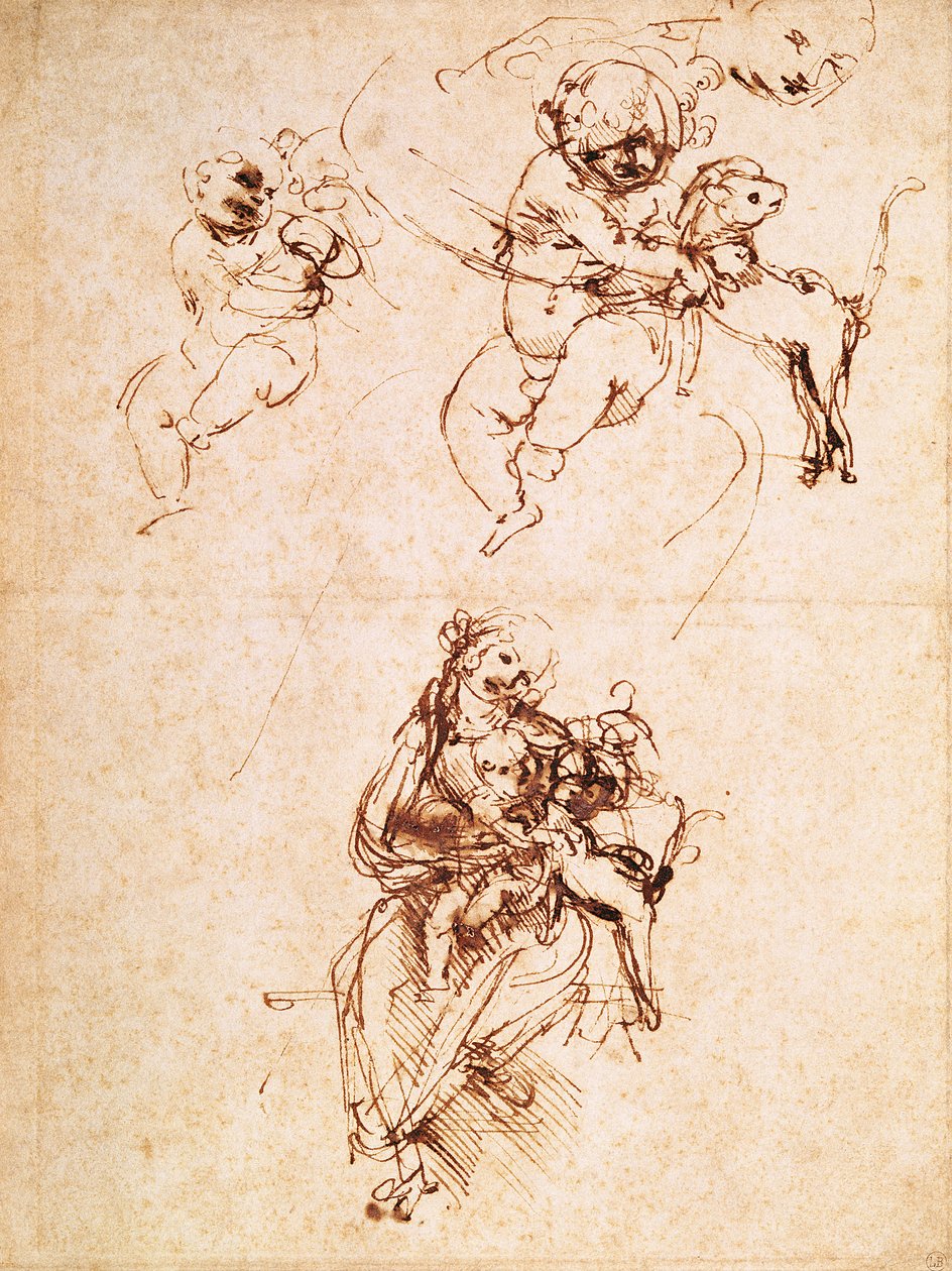 Tanulmányok egy macskás Madonnának, 1478-80 körül (toll és tinta papíron) alkotó: Leonardo da Vinci