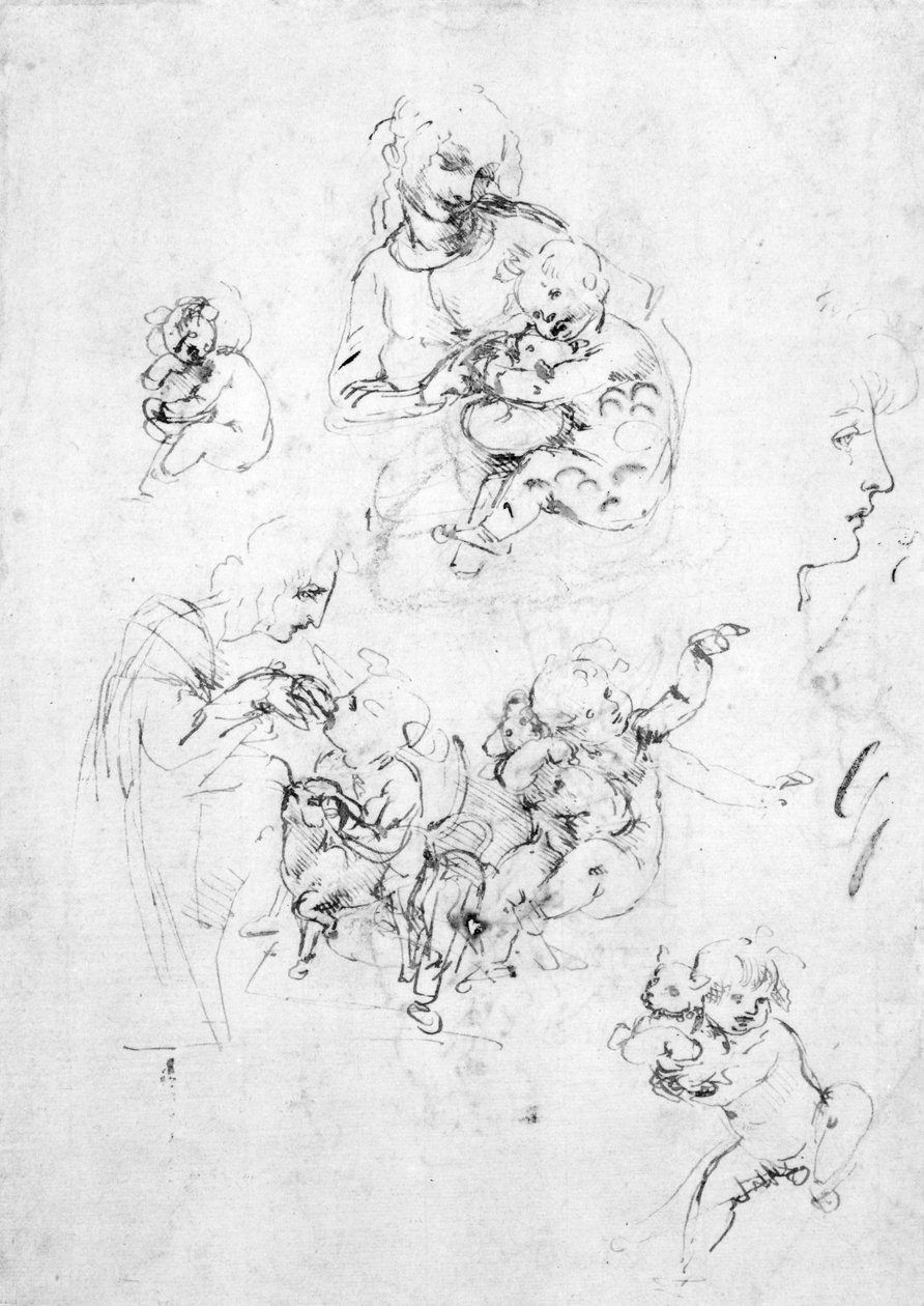 Tanulmányok Madonnának egy macskával, 1478-80 körül (toll és tinta fekete krétával, papíron) alkotó: Leonardo da Vinci
