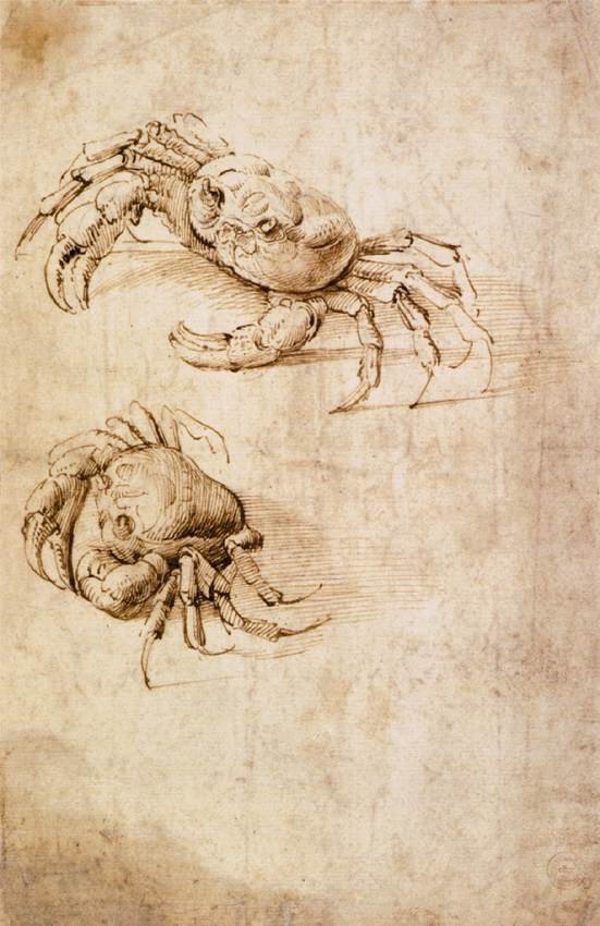 A rákok tanulmányozása alkotó: Leonardo da Vinci