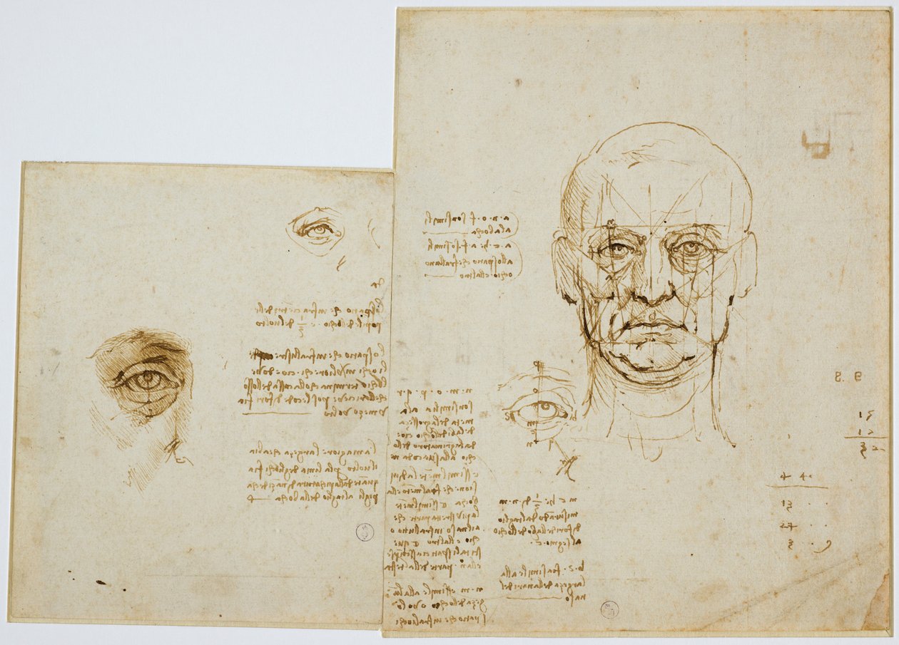 Tanulmányok az arc és a szem arányairól (jegyzetekkel), 1489-90 körül (fémhegy, toll és barna tinta, papír) alkotó: Leonardo da Vinci