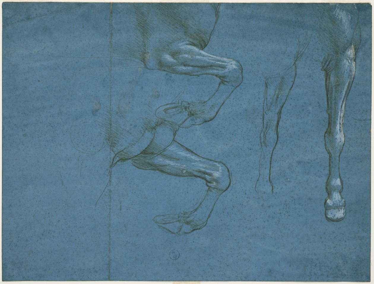 Tanulmányok a ló mellső végtagjairól, 1490 körül (fémhegy és fehér mész, kék preparált papírra) alkotó: Leonardo da Vinci