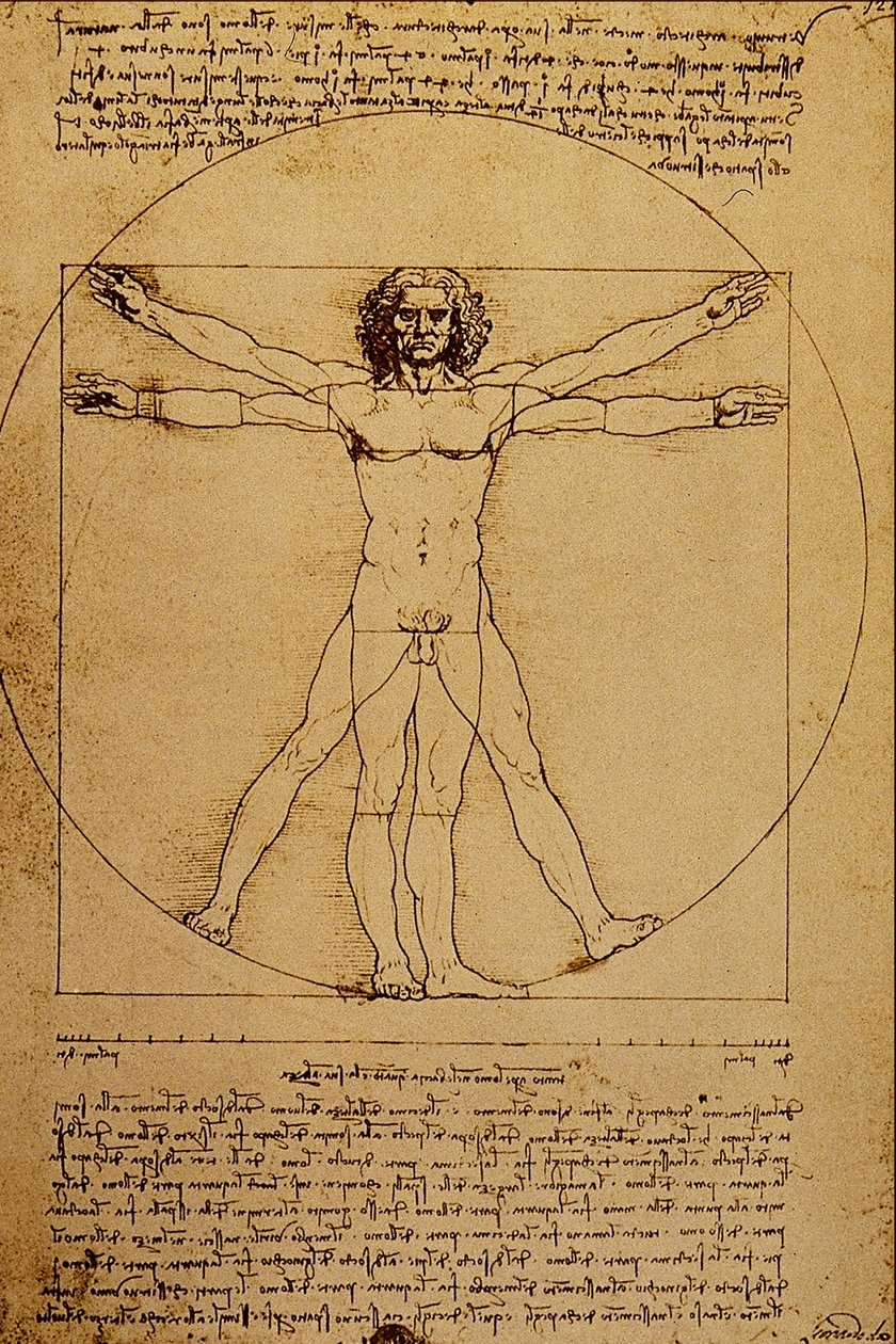 Az emberi test tanulmányozása alkotó: Leonardo da Vinci