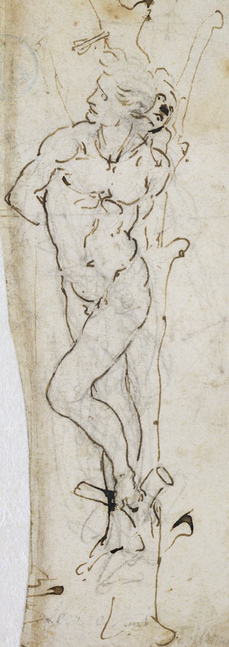 Tanulmány Szent Sebestyénről, 1480-81 (toll és tinta ceruza fölött papíron) alkotó: Leonardo da Vinci