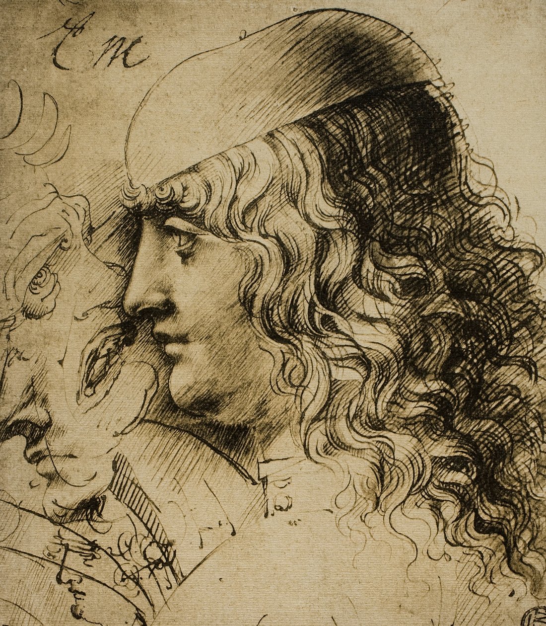 A férfias fej tanulmányozása; Leonardo da Vinci rajza. Louvre, Párizs alkotó: Leonardo da Vinci