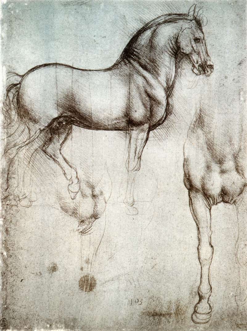 A lovak tanulmányozása alkotó: Leonardo da Vinci