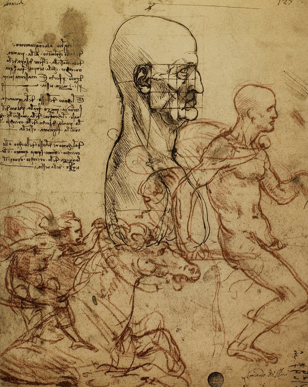 Emberi fiziognómia és lovasok tanulmányozása az Anghiari csata festéséhez; Leonardo da Vinci rajza. Gallerie dellAccademia, Velence alkotó: Leonardo da Vinci