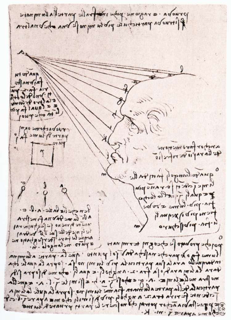 A fény hatásának vizsgálata a profilfejen alkotó: Leonardo da Vinci