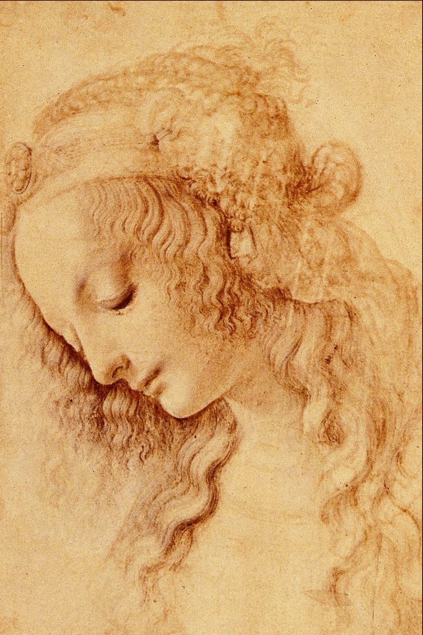 Egy nő feje a profilban alkotó: Leonardo da Vinci