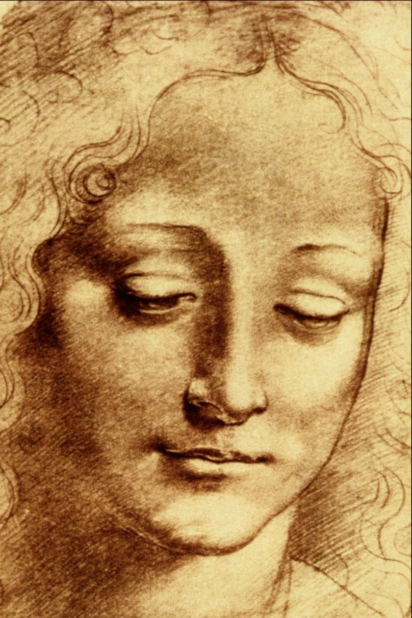Giovinetta vezetői alkotó: Leonardo da Vinci