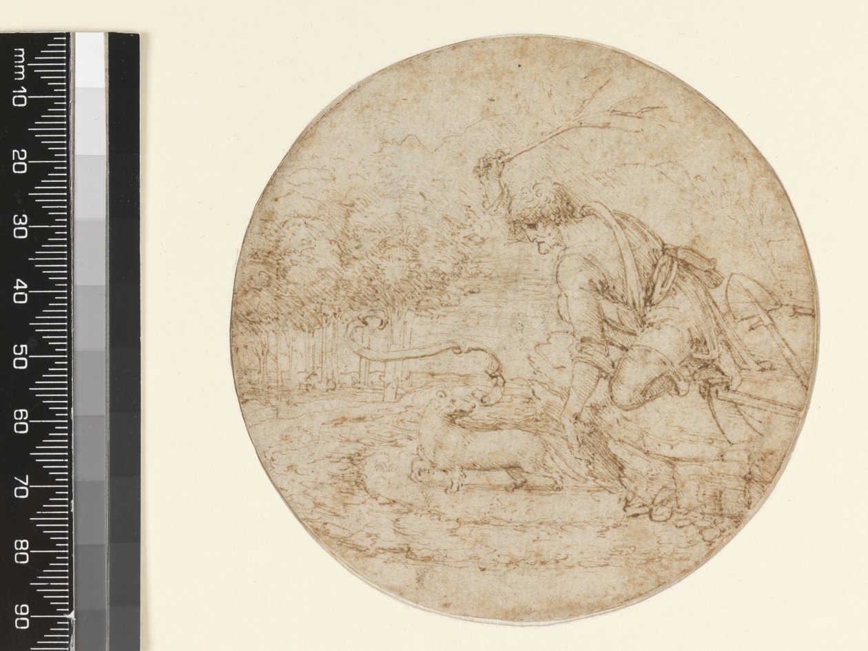 A hermelin, mint a tisztaság szimbóluma, 1494 körül (toll és barna tinta feketén a papíron) alkotó: Leonardo da Vinci