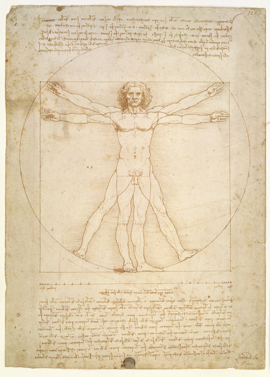 Az emberi alak arányai (Vitruvius után), 1492 körül alkotó: Leonardo da Vinci