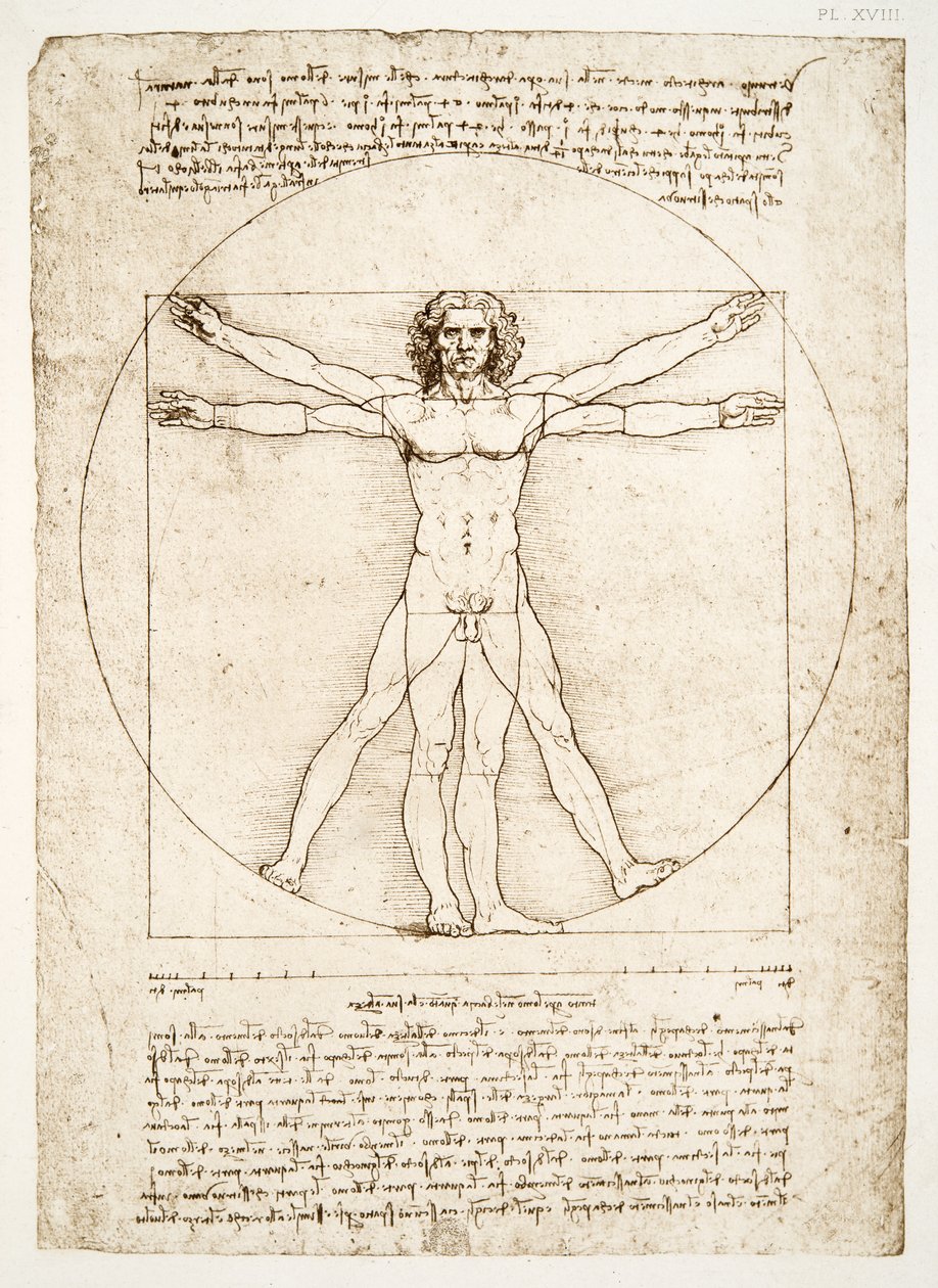 Az emberi alak arányai (Vitruvius után), 1492 körül (fakszimile) alkotó: Leonardo da Vinci