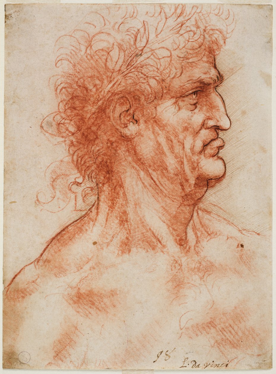Fiatal babérral koronázott profilfej, kb. 1506-10 (fehér papíron tollal áthúzott körvonalú vér) alkotó: Leonardo da Vinci
