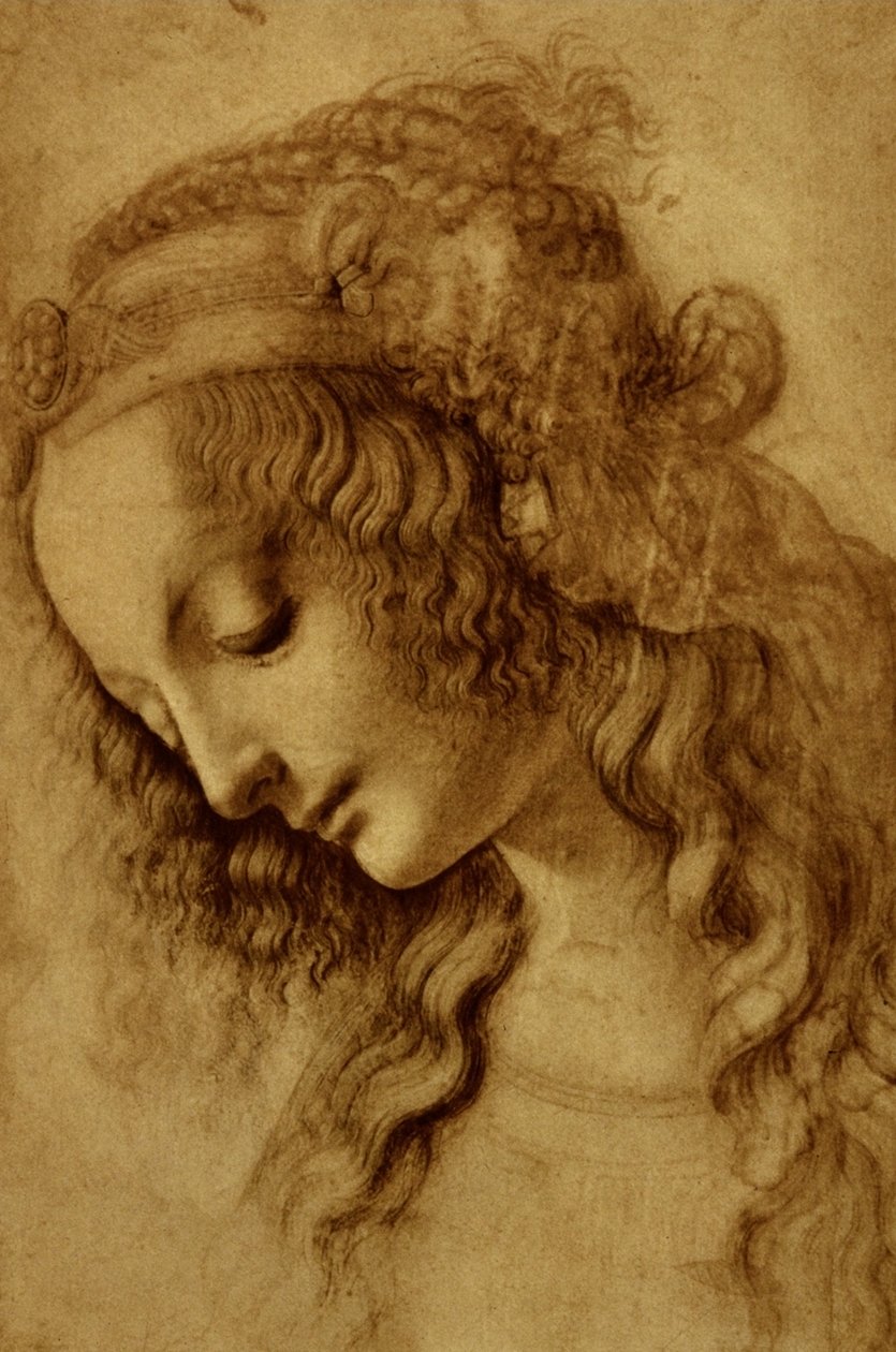 Nő a profilban alkotó: Leonardo da Vinci
