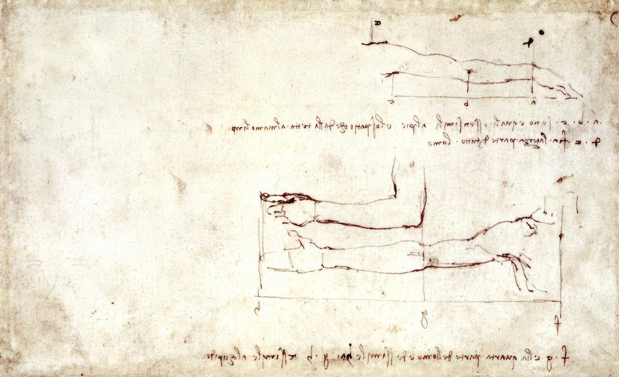kar alkotó: Leonardo da Vinci