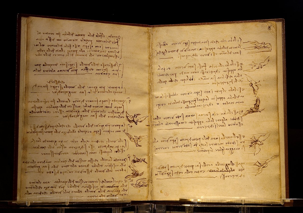 madarak repülési kódexe Luc Viatour alkotó: Leonardo da Vinci