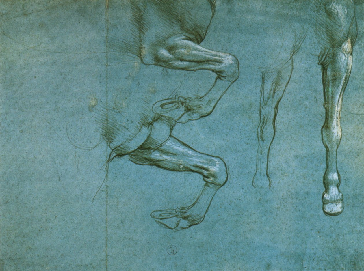 a ló mellső lábainak tanulmányozása alkotó: Leonardo da Vinci