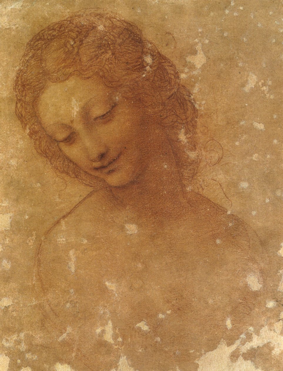 feje leda, sforzesco kastély alkotó: Leonardo da Vinci
