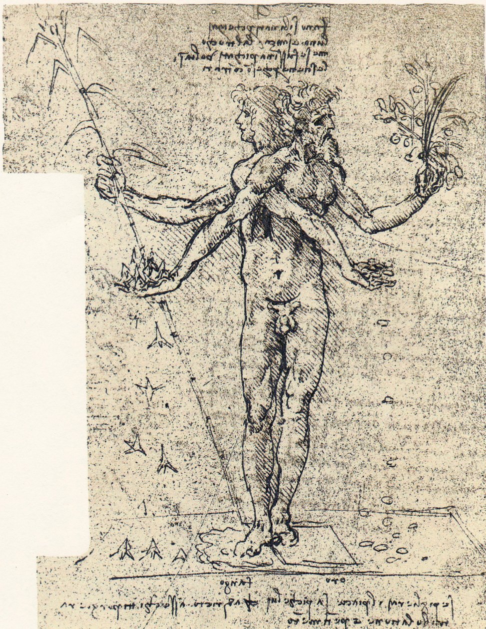 kétfejű androgün korpusz ismeretlen rajza alkotó: Leonardo da Vinci