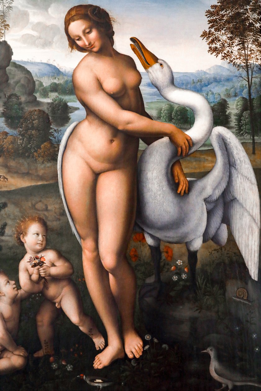 Léda és a hattyú, Olaj, vászon alkotó: Leonardo da (after) Vinci