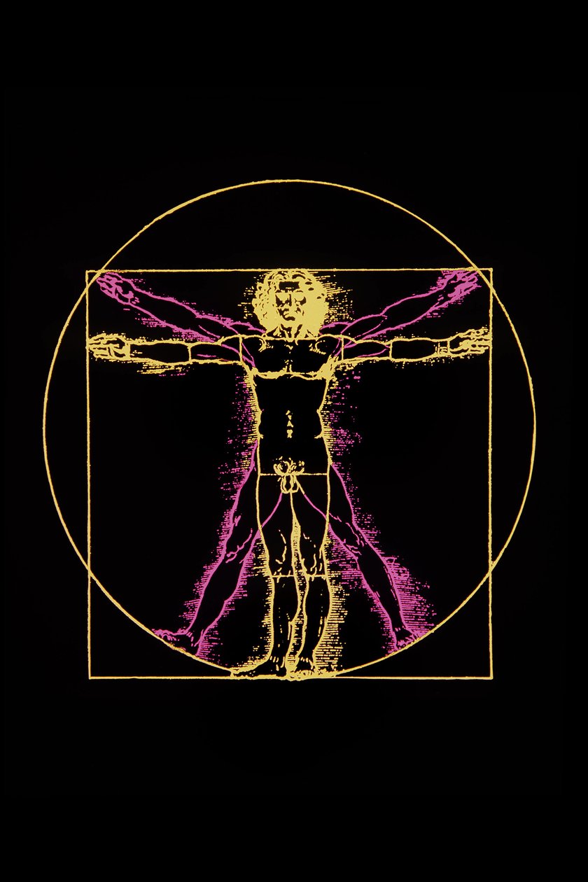 Vitruvius Man, Leonardo da Vinci, 1970 körül alkotó: Leonardo da (after) Vinci