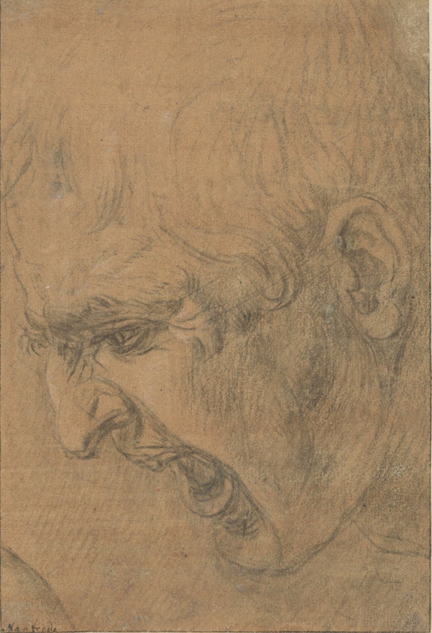 Egy sikoltozó férfi feje alkotó: Leonardo da Vinci (follower of)
