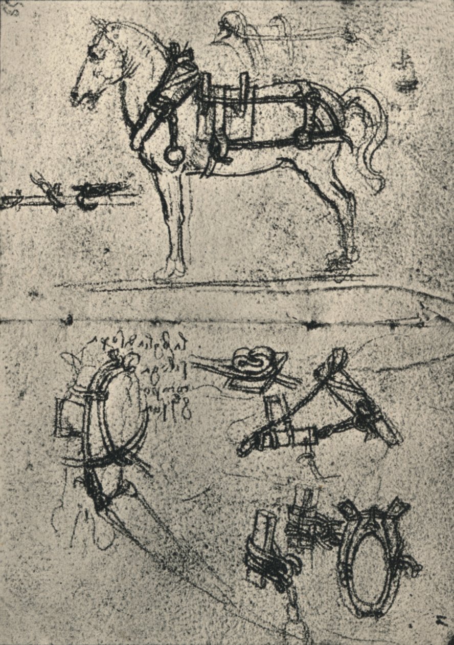 A Harnessed Cart-Horse and Studies of Harness, c1480 1945 alkotó: Leonardo da Vinci