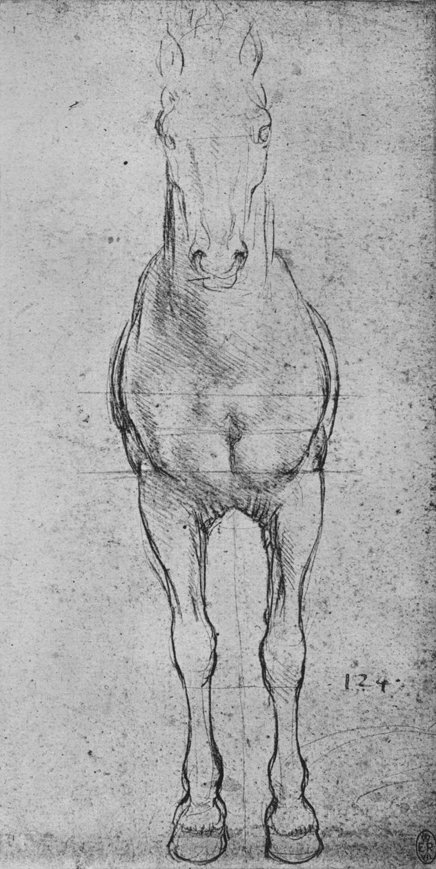 Egy ló elölről nézve, c1480 1945 alkotó: Leonardo da Vinci