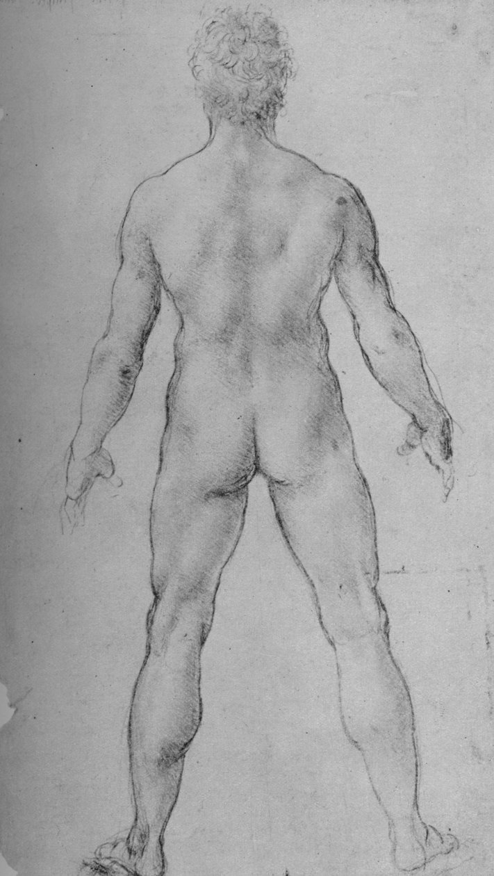 Egy akt ember hátulról, c1480 1945 alkotó: Leonardo da Vinci