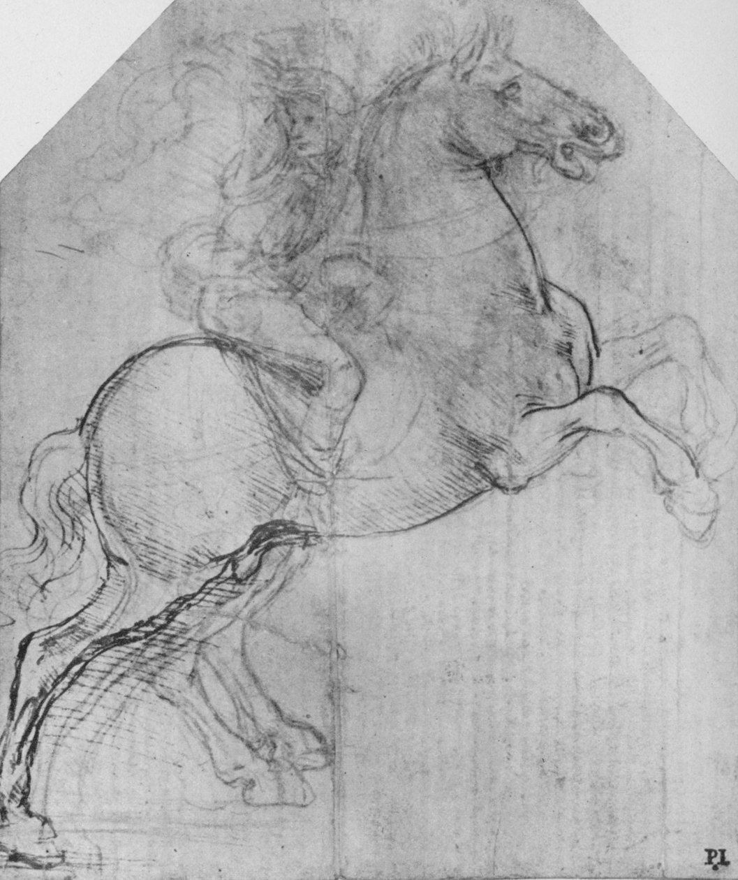 Lovas tenyészlovon, c1480 1945 alkotó: Leonardo da Vinci
