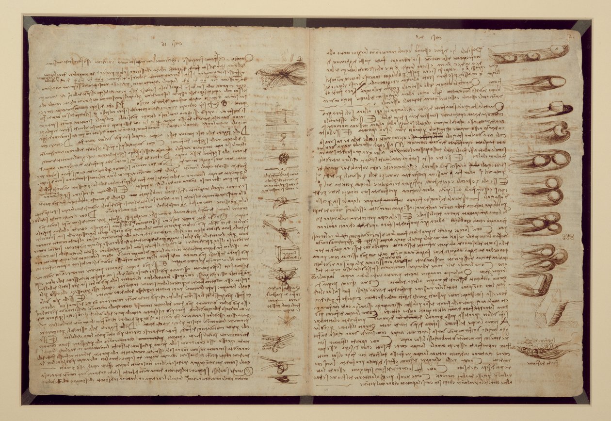 Egy oldal a Codex Leicesterből, 1508-12 (szépia tinta vászonpapíron) alkotó: Leonardo da Vinci
