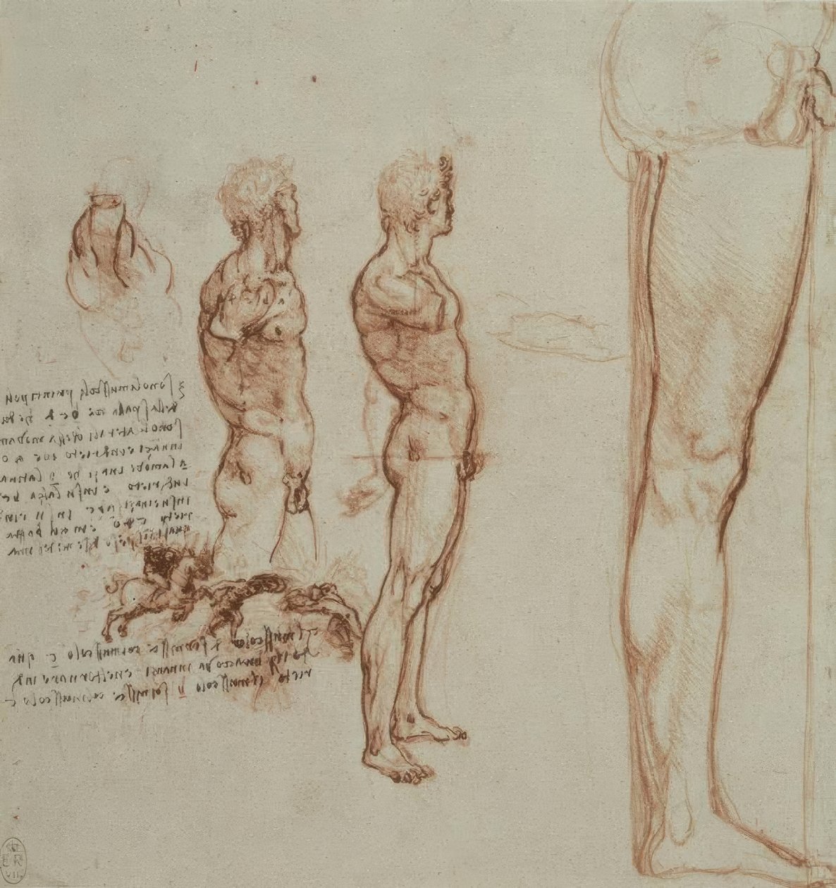 Anatomiestudien alkotó: Leonardo da Vinci