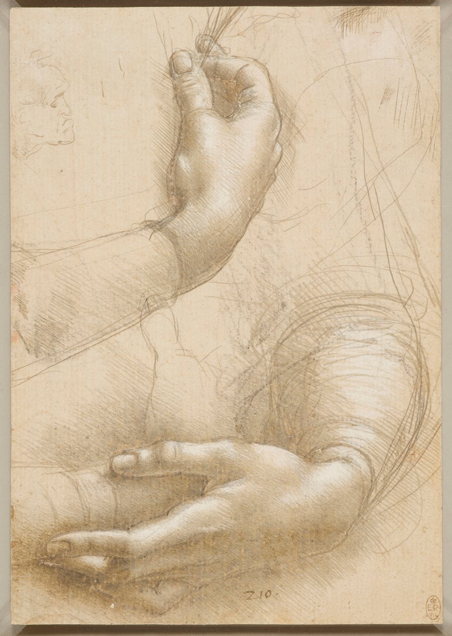 Karok és női kezek, c. 1480. alkotó: Leonardo da Vinci
