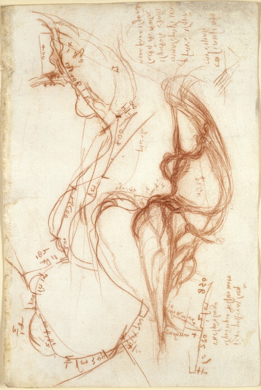 Arundel 263, f.149, Az Arno folyó planimetrikus vázlatai; jegyzetek a vízgazdálkodásról alkotó: Leonardo da Vinci