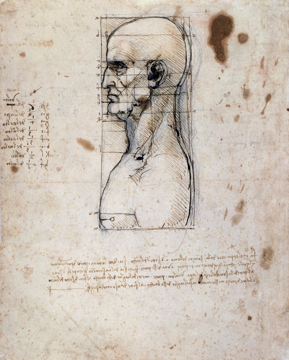 Férfi mellszobra profilban méretekkel és megjegyzésekkel (szépia tinta vászonpapíron) alkotó: Leonardo da Vinci