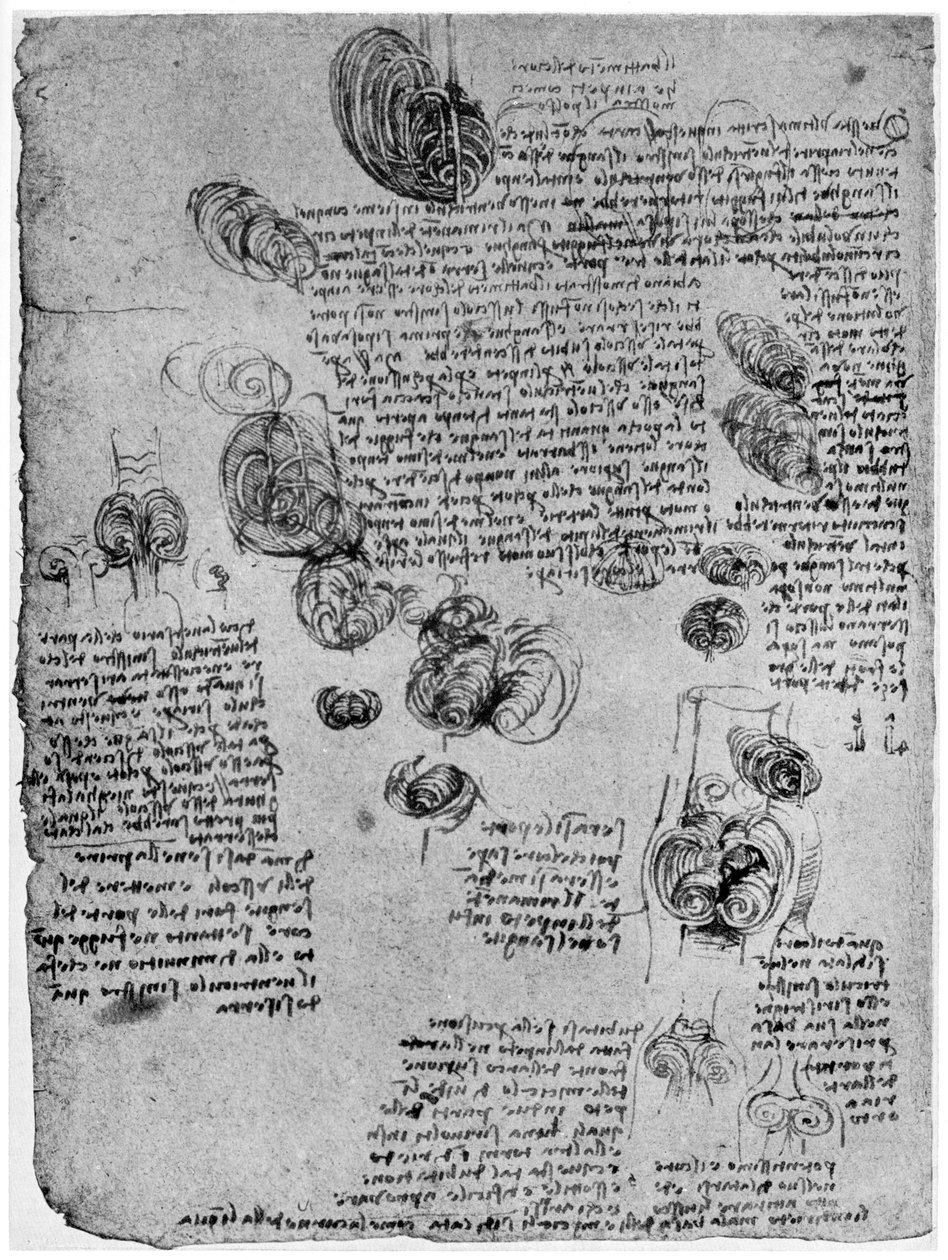 A szívben lévő vérörvény diagramja, 15. század vége vagy 16. század eleje 1954 alkotó: Leonardo da Vinci