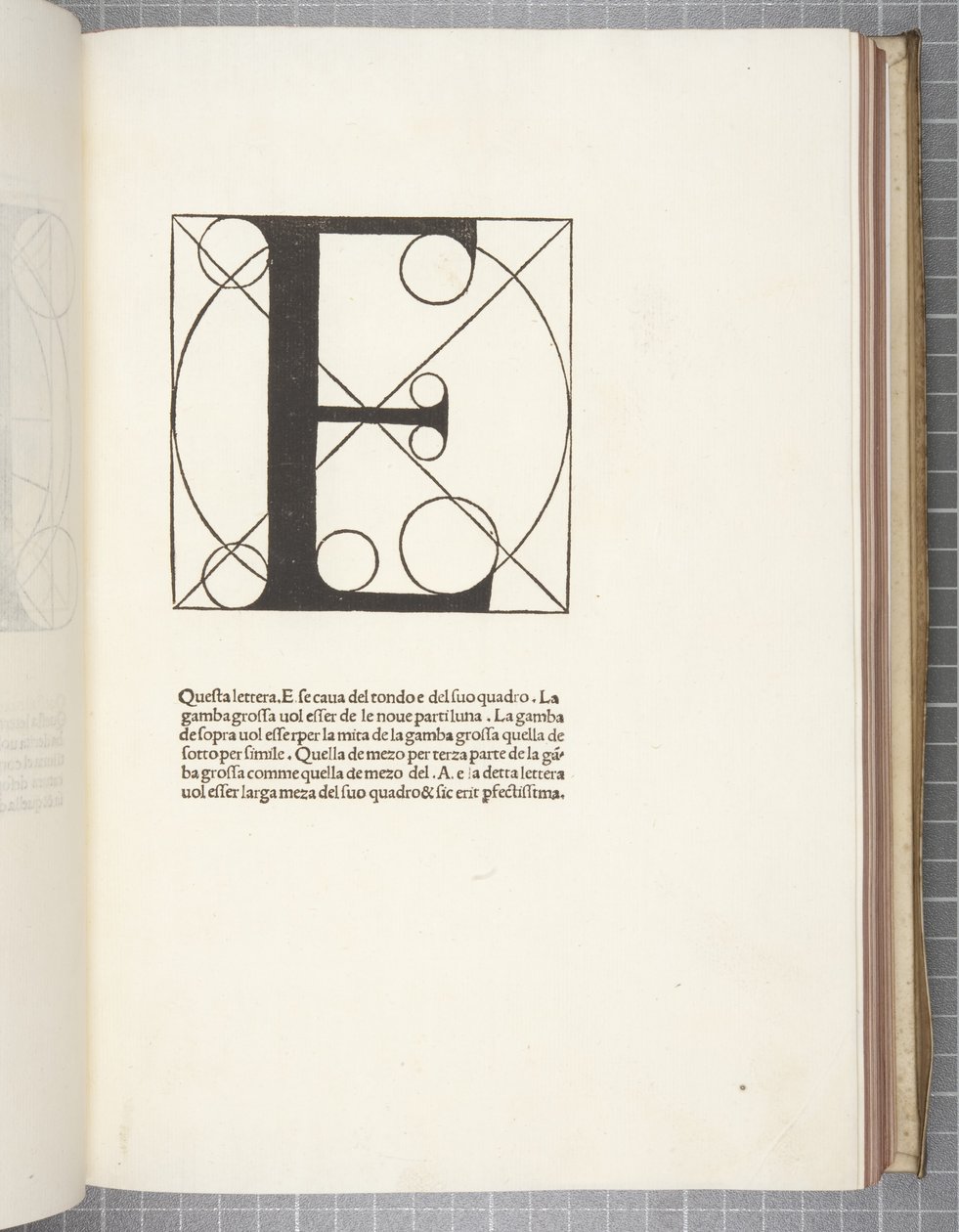 Isteni arány, Luca Pacioli alkotó: Leonardo da Vinci