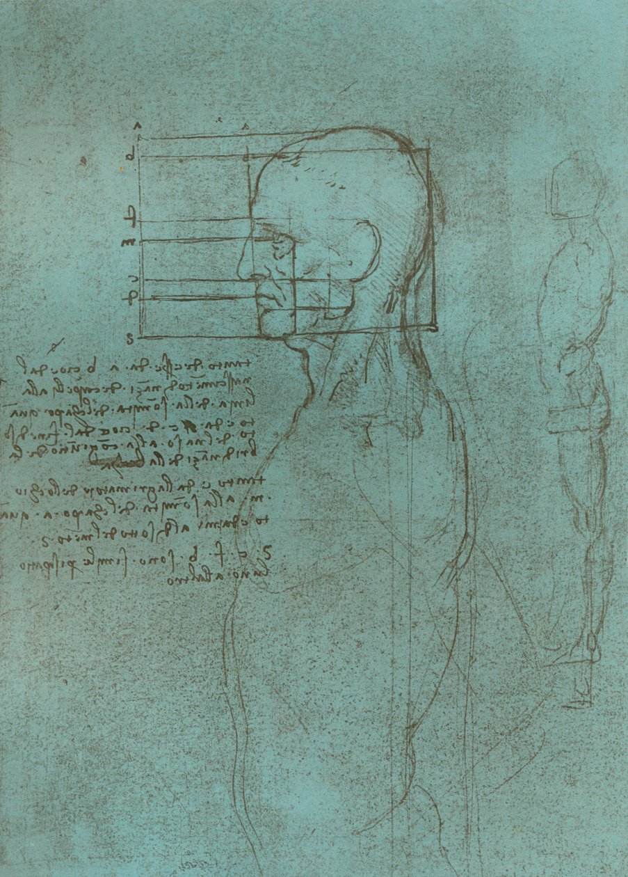 Az emberi alak arányainak elméletét illusztráló rajz, c1472-c1519 1883. alkotó: Leonardo da Vinci