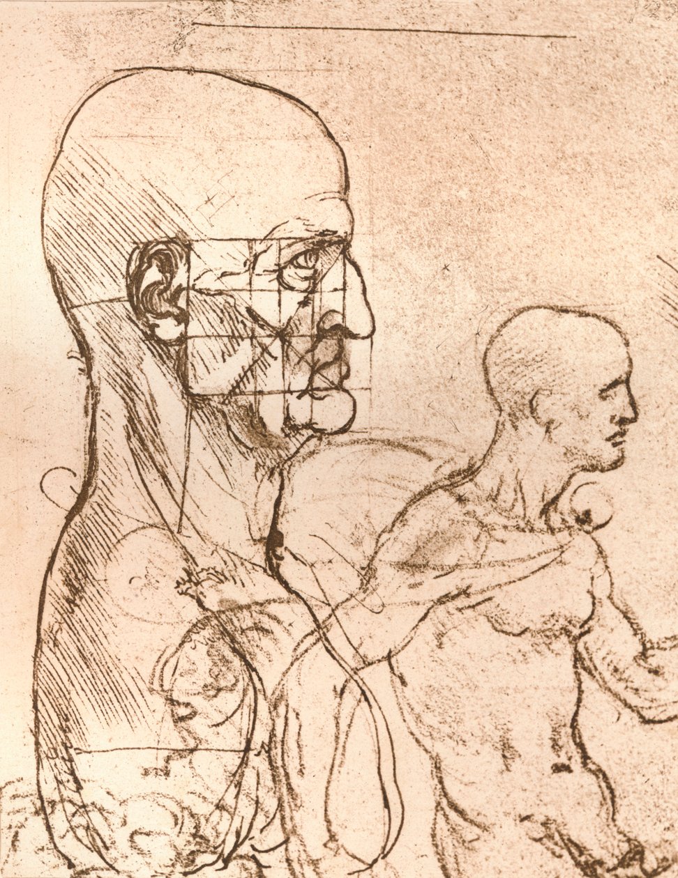 Az emberi alak arányainak elméletét illusztráló rajz, c1472-c1519 1883 alkotó: Leonardo da Vinci