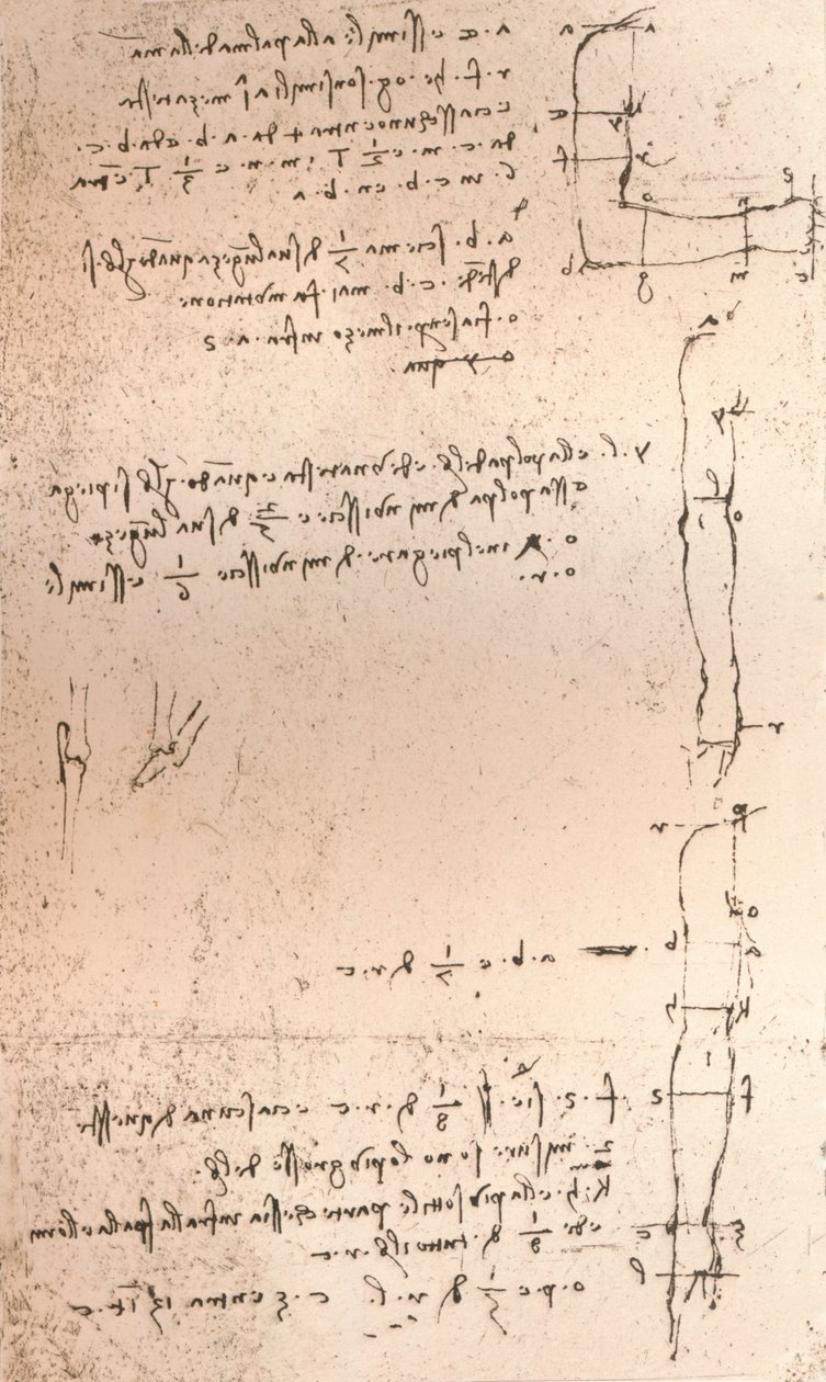 Az emberi alak arányainak elméletét illusztráló rajz, c1472-c1519 1883 alkotó: Leonardo da Vinci