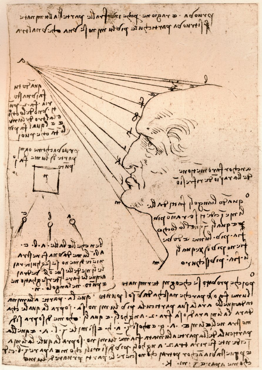 Férfifej rajza, a festészet gyakorlatát illusztrálva, c1472-c1519 1883 alkotó: Leonardo da Vinci