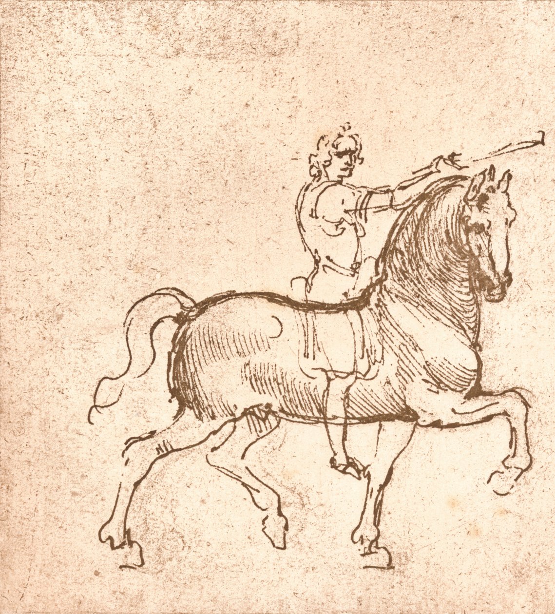 Sétáló ló rajza, c1472-c1519 1883 alkotó: Leonardo da Vinci