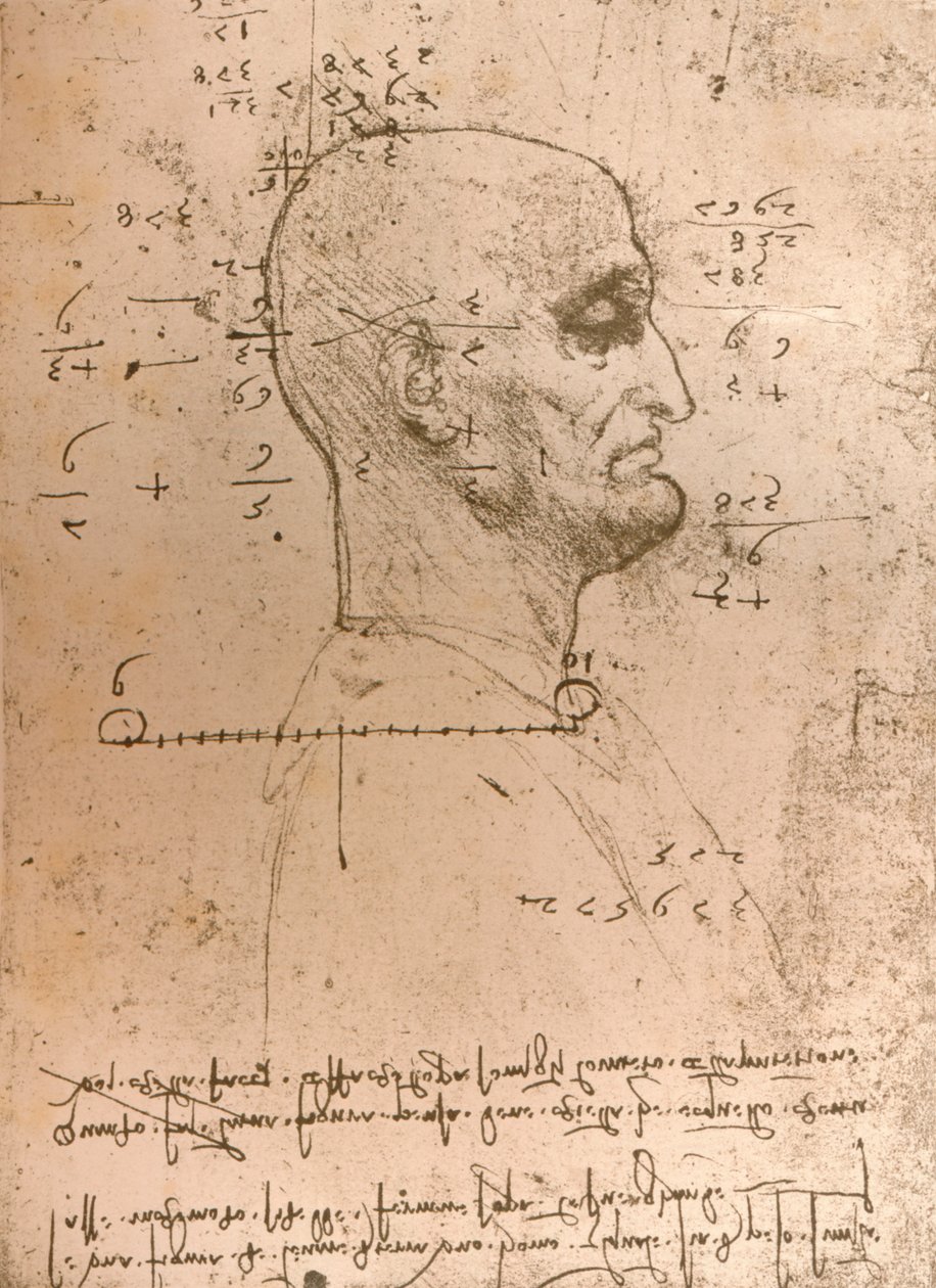 Rajz egy bűnöző fejéről, c1472-c1519 1883 alkotó: Leonardo da Vinci