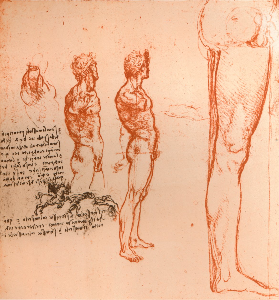 Rajzok, amelyek az emberi alak mozgását és a harcosokat mutatják be, c1472-c1519 1883 alkotó: Leonardo da Vinci