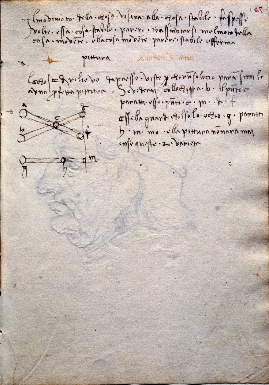 Kivonat festménykönyvből, Codex Trivulzianusból alkotó: Leonardo da Vinci