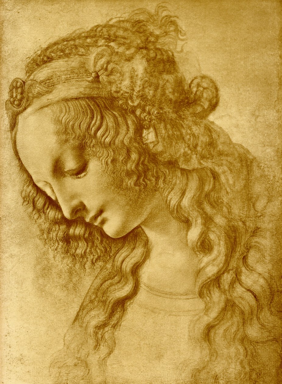 Női fej alkotó: Leonardo da Vinci