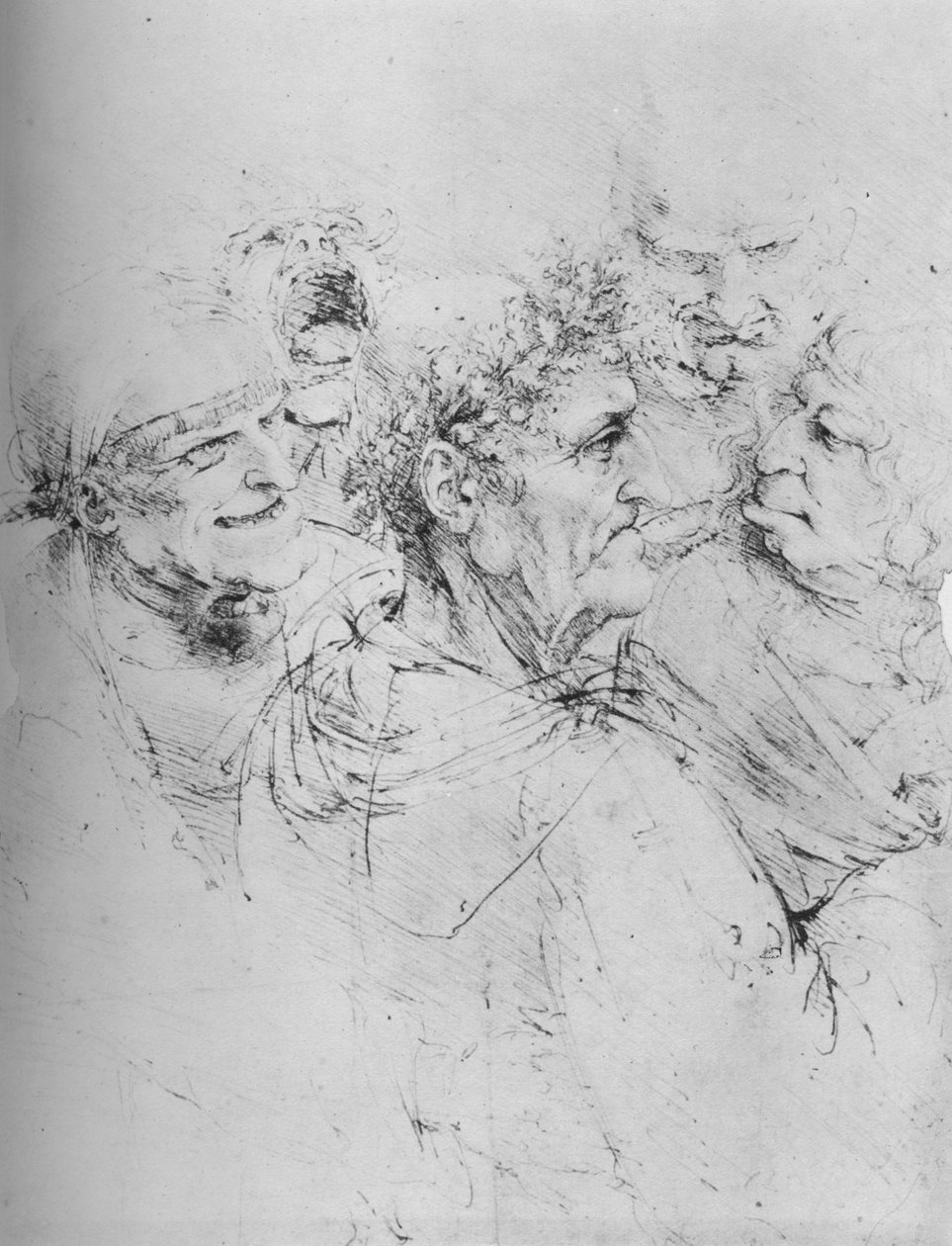 Öt groteszk fej, c1480, 1945 alkotó: Leonardo da Vinci